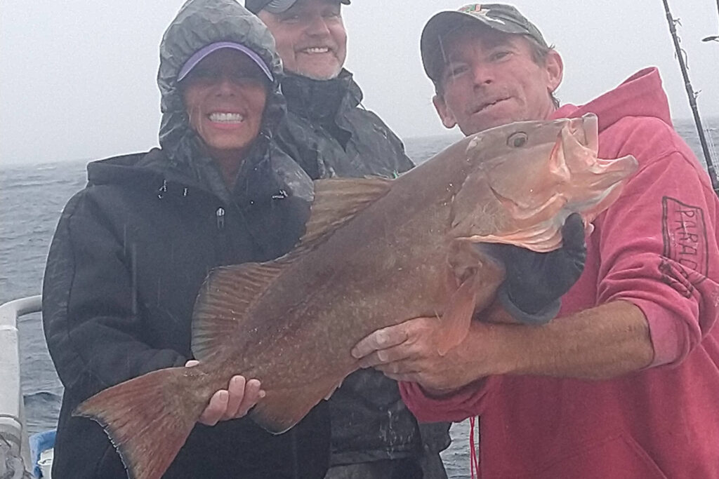 OFFSHORE - red grouper