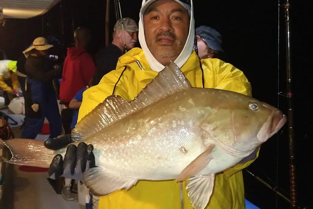 OFFSHORE-redgrouper
