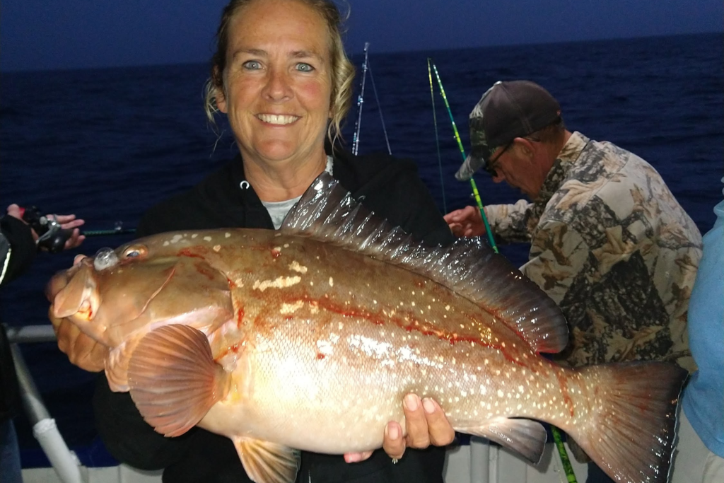 OFFSHORE-redgrouper3