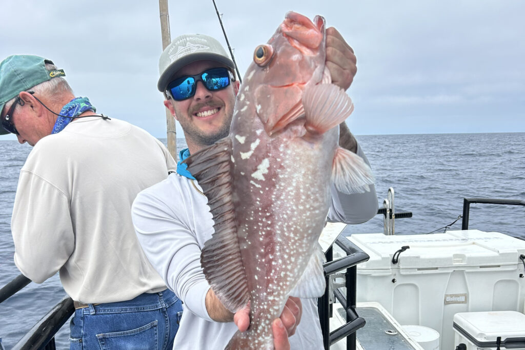 OFFSHORE-redgrouper4