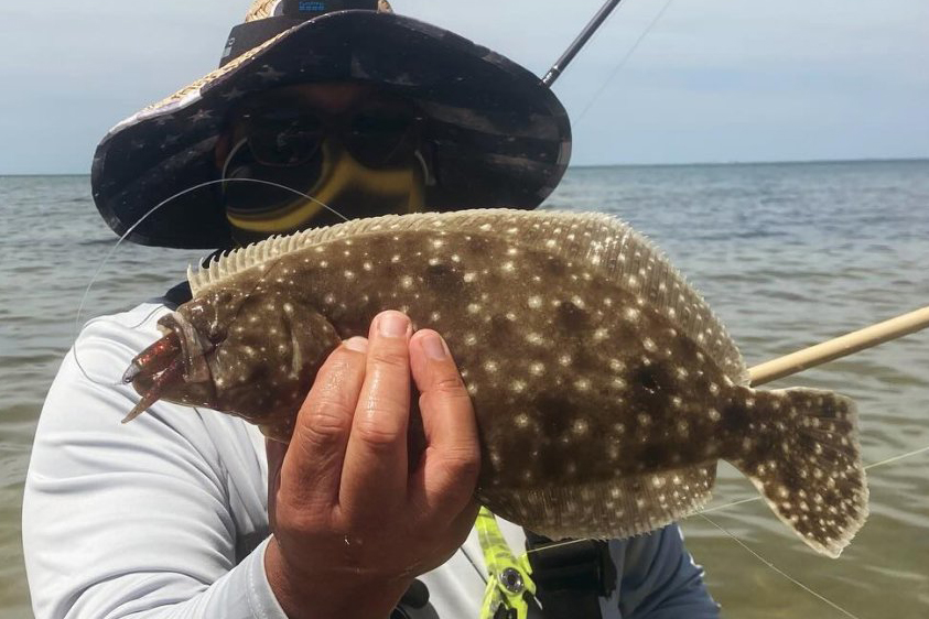 INSHORE-flounder