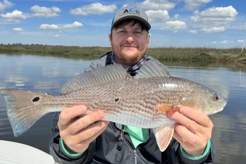 INSHORE-redfish