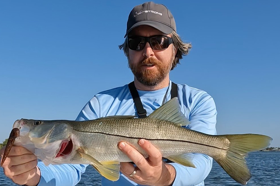 INSHORE-snook