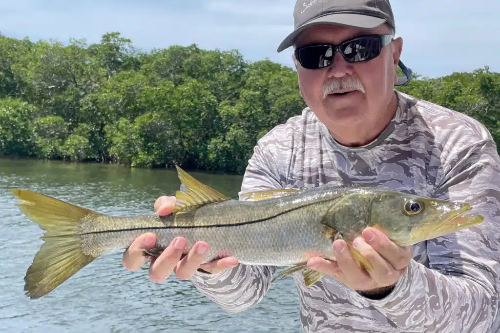INSHORE-snook3