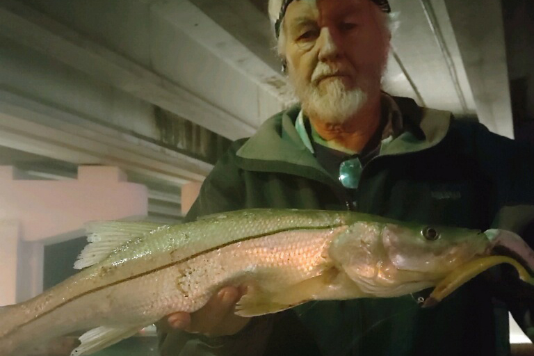 INSHORE-snook4