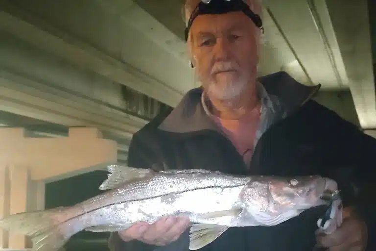 INSHORE-snook6