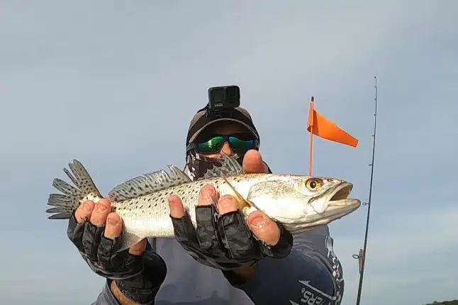 INSHORE-trout2