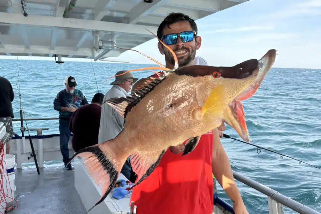 NEARSHORE-hogfish