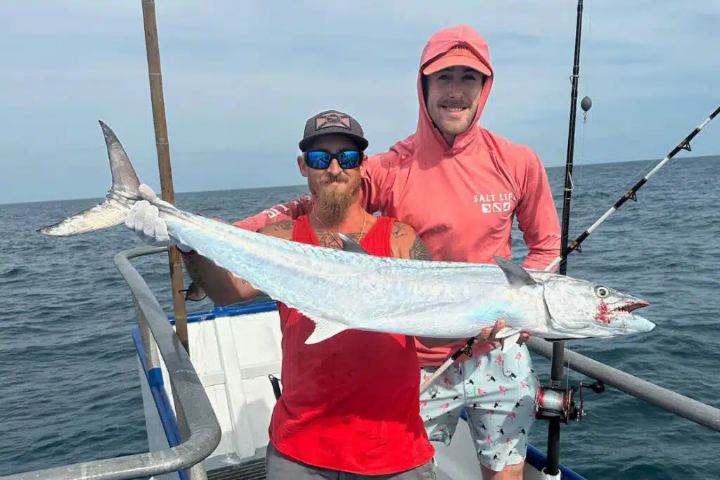 NEARSHORE-kingfish