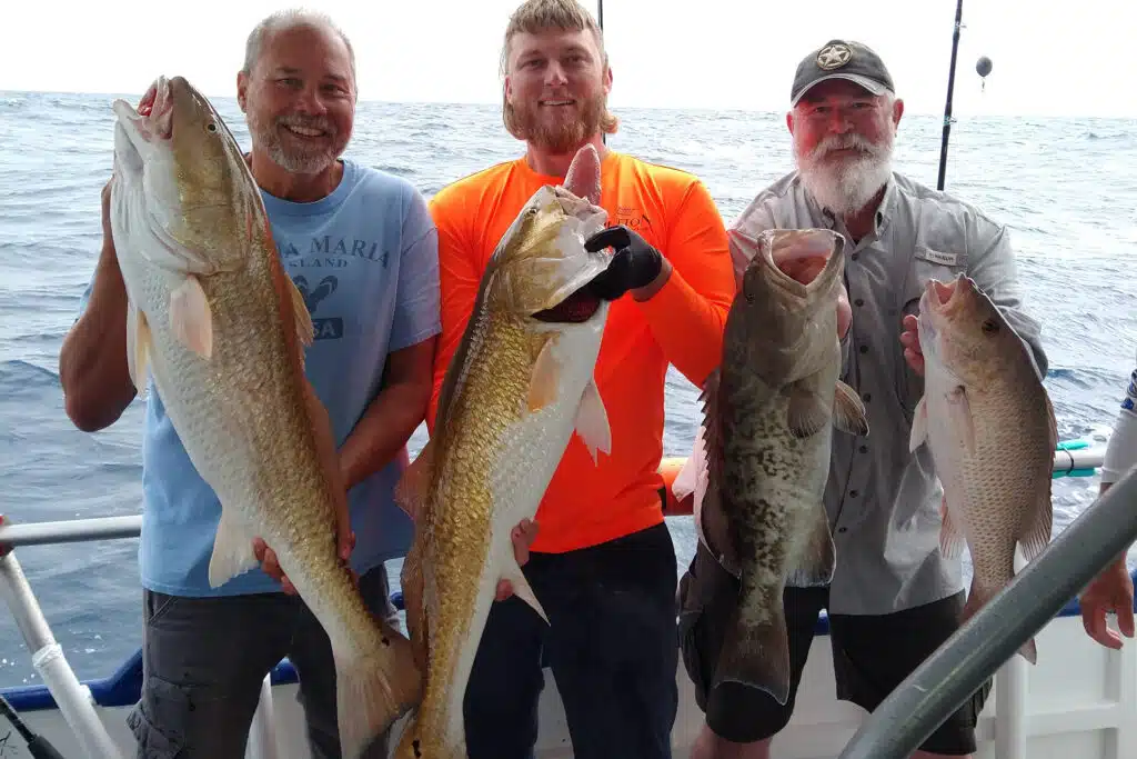 OFFSHORE - L-R- redfish, gag, mangrove snapper