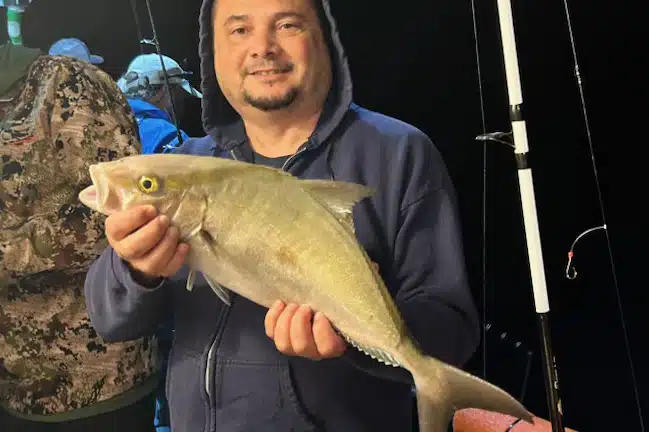 OFFSHORE - almaco jack