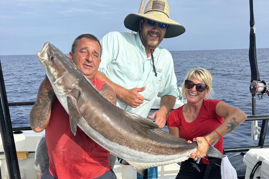 OFFSHORE-cobia-best