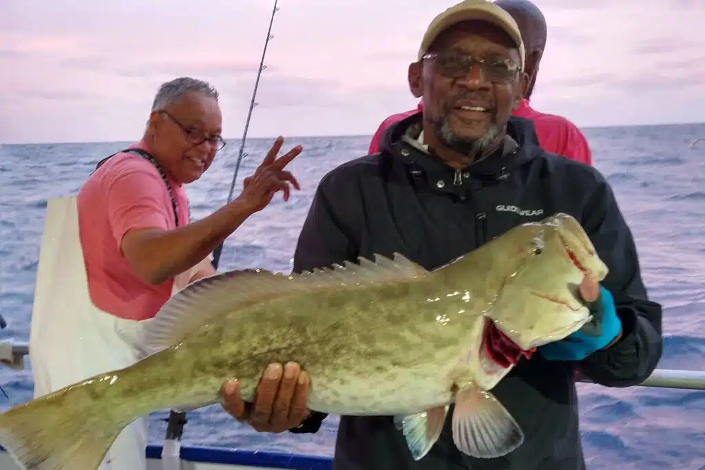 OFFSHORE - gag grouper 1