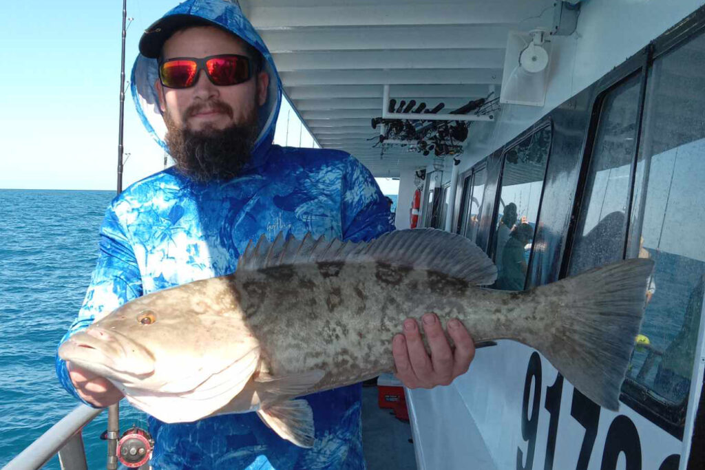 OFFSHORE-gag-grouper