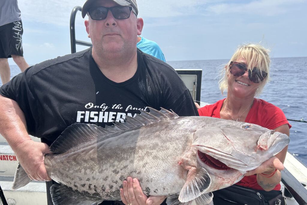 OFFSHORE-gaggrouper