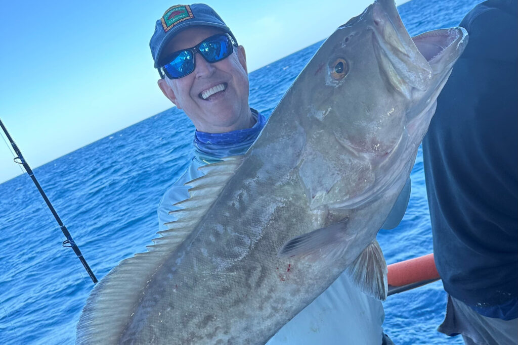 OFFSHORE-gaggrouper2