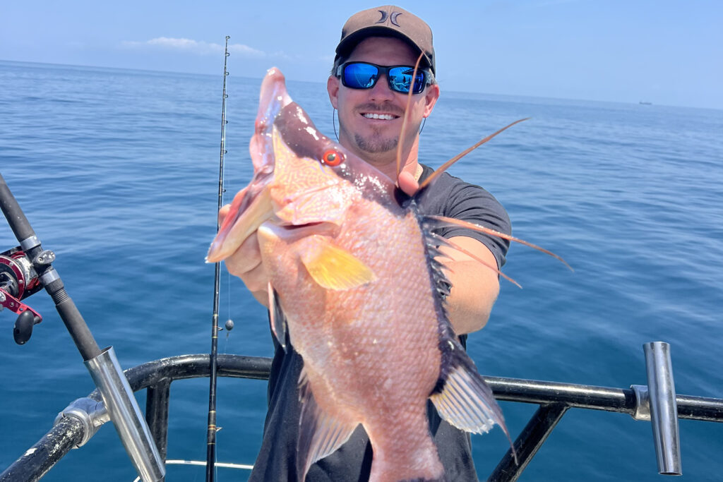 OFFSHORE-hogfish-best