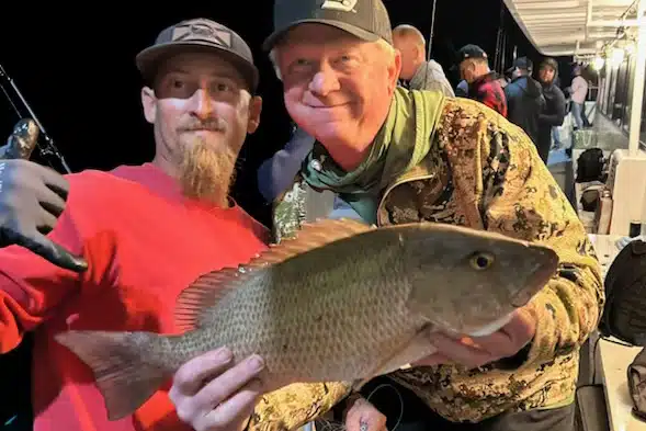 OFFSHORE - mangrove snapper (3)