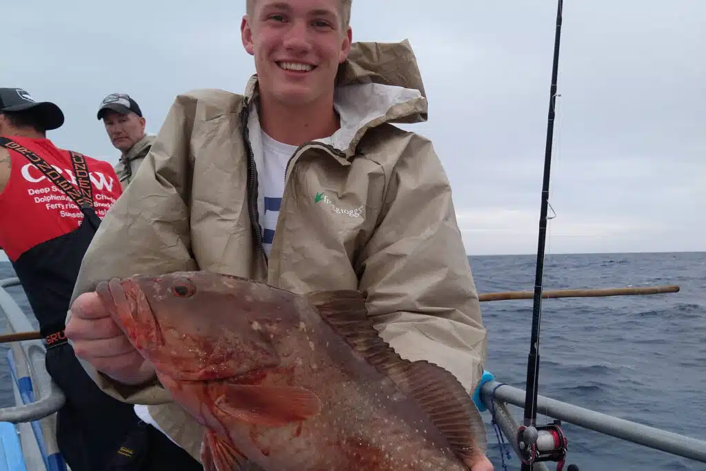 OFFSHORE - red grouper