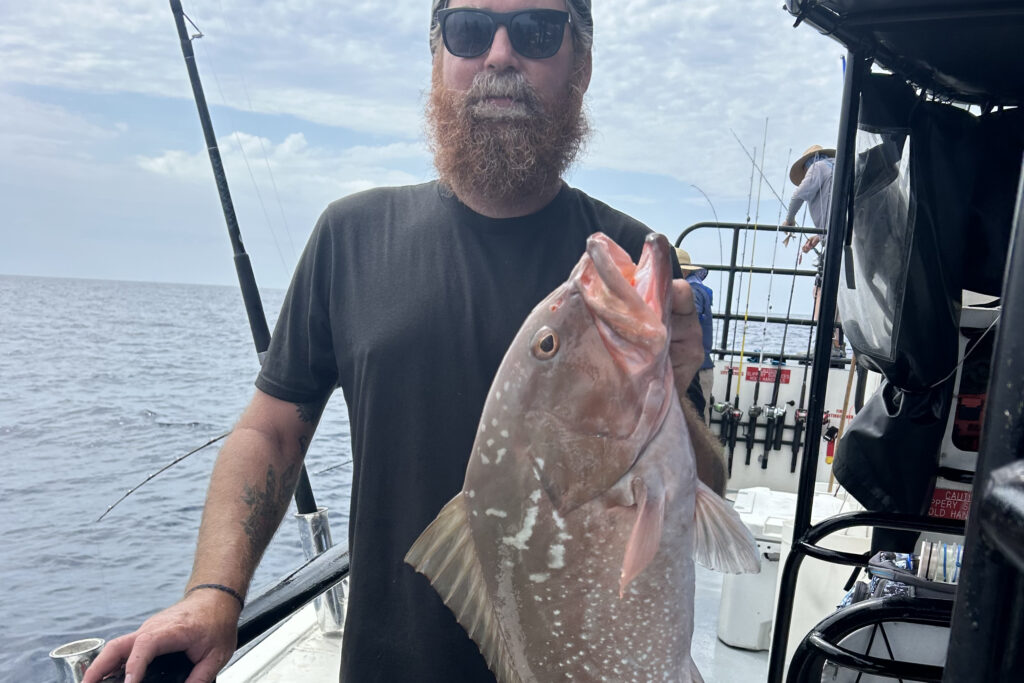 OFFSHORE-redgrouper