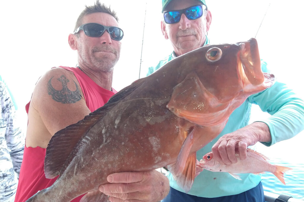 OFFSHORE-redgrouper7