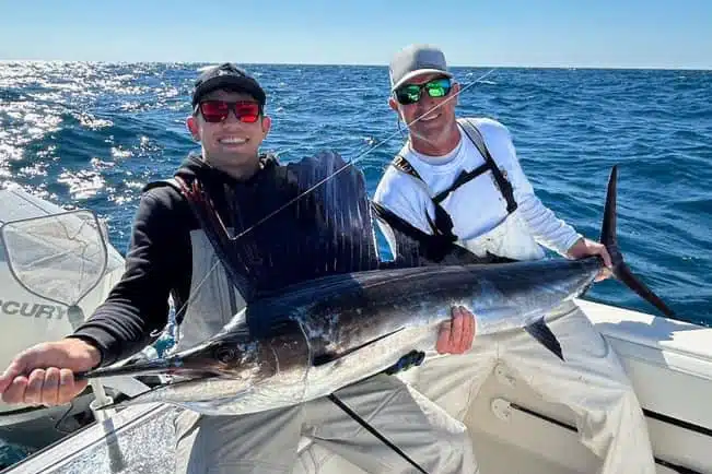 OFFSHORE-sailfish