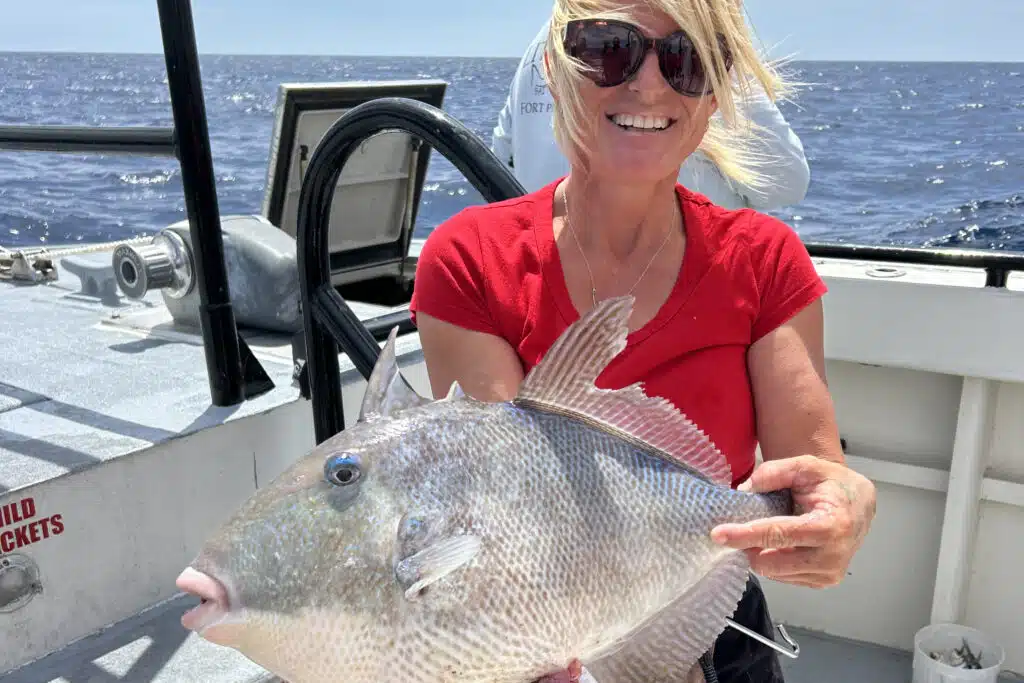 OFFSHORE-triggerfish2