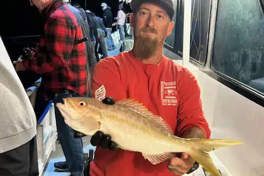 OFFSHORE - yellowtail snapper