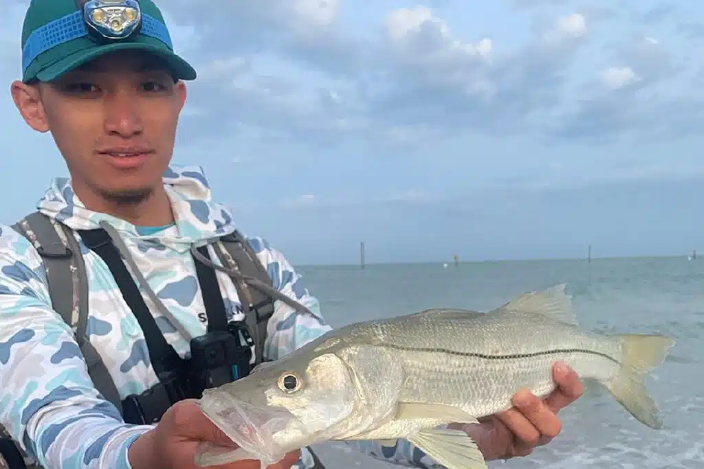 INSHORE - snook