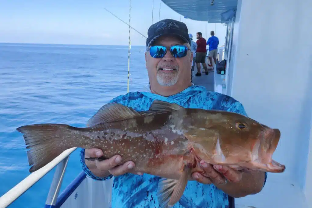 NEAR SHORE - red grouper