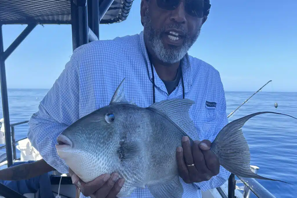 OFFSHORE - triggerfish (1)