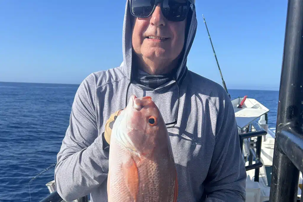 OFFSHORE - vermillion snapper