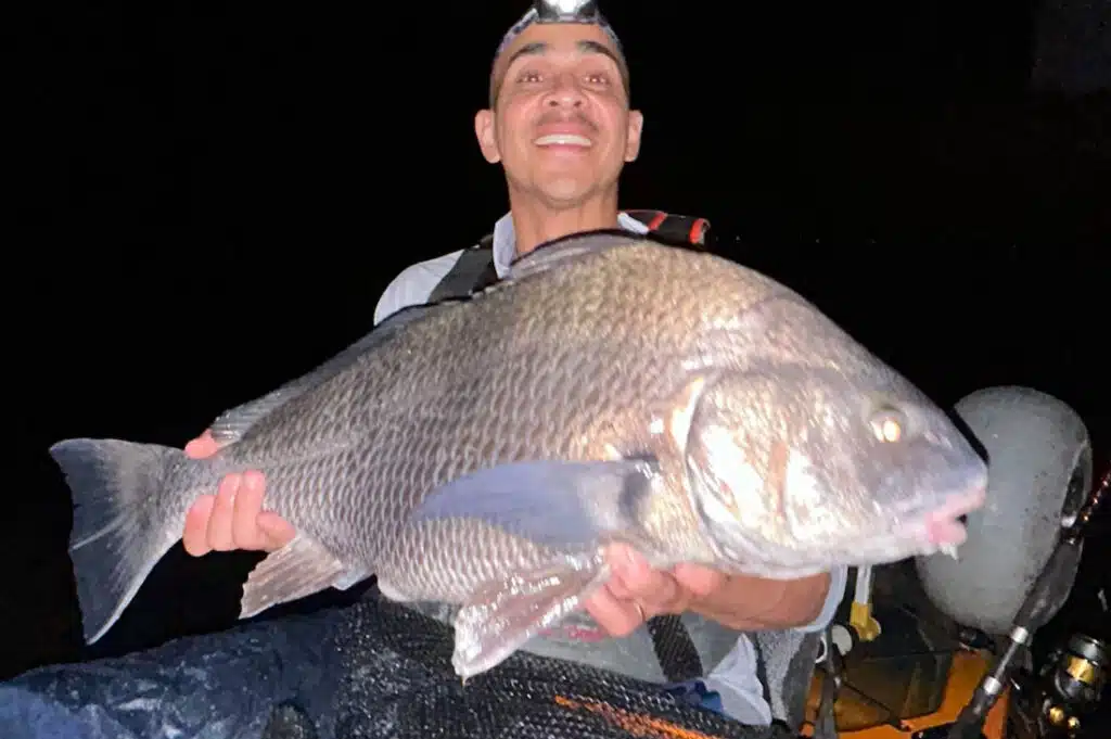 INSHORE-blackdrum_