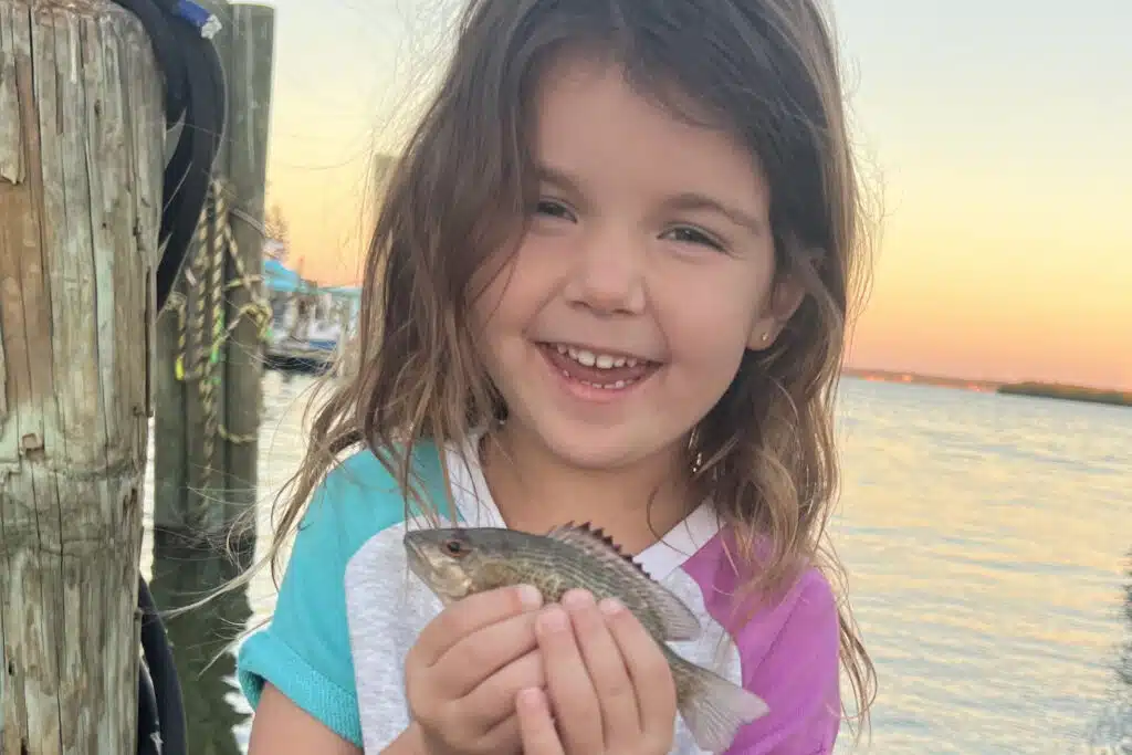 INSHORE-mangrove snapper