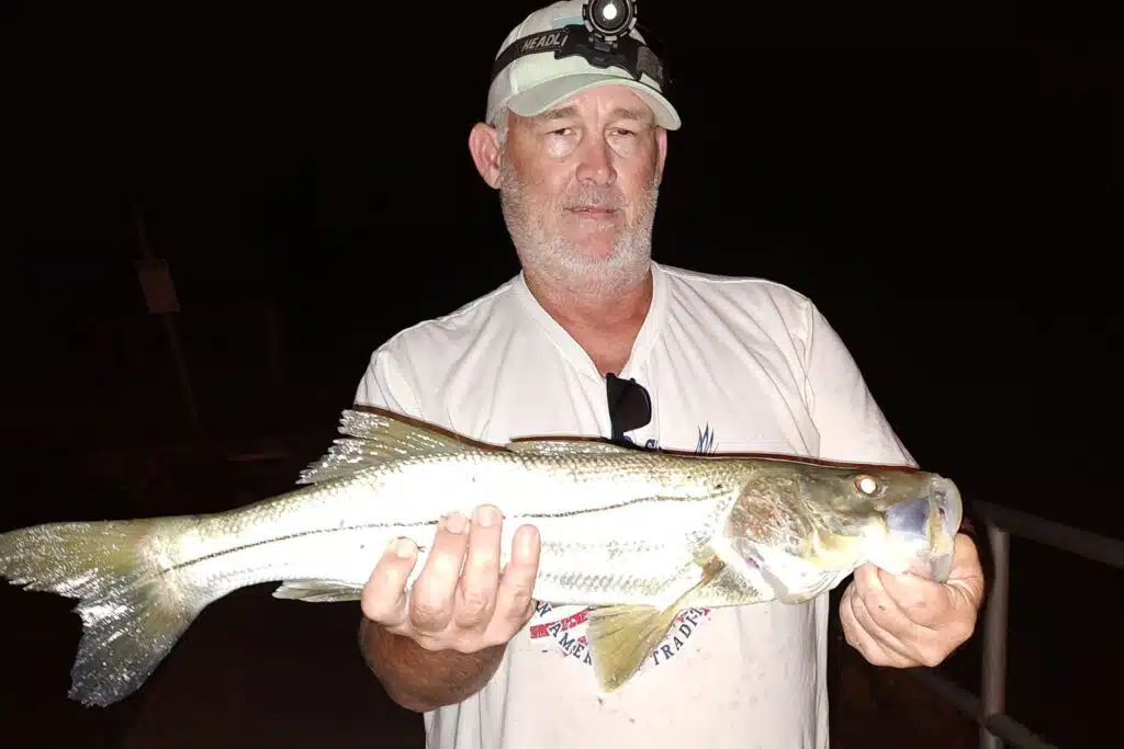 INSHORE-snook (5)