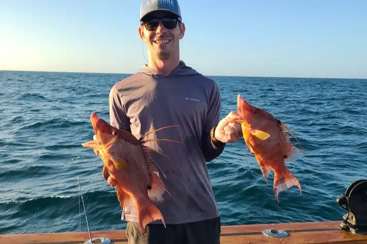 NEAR SHORE - hogfish (1