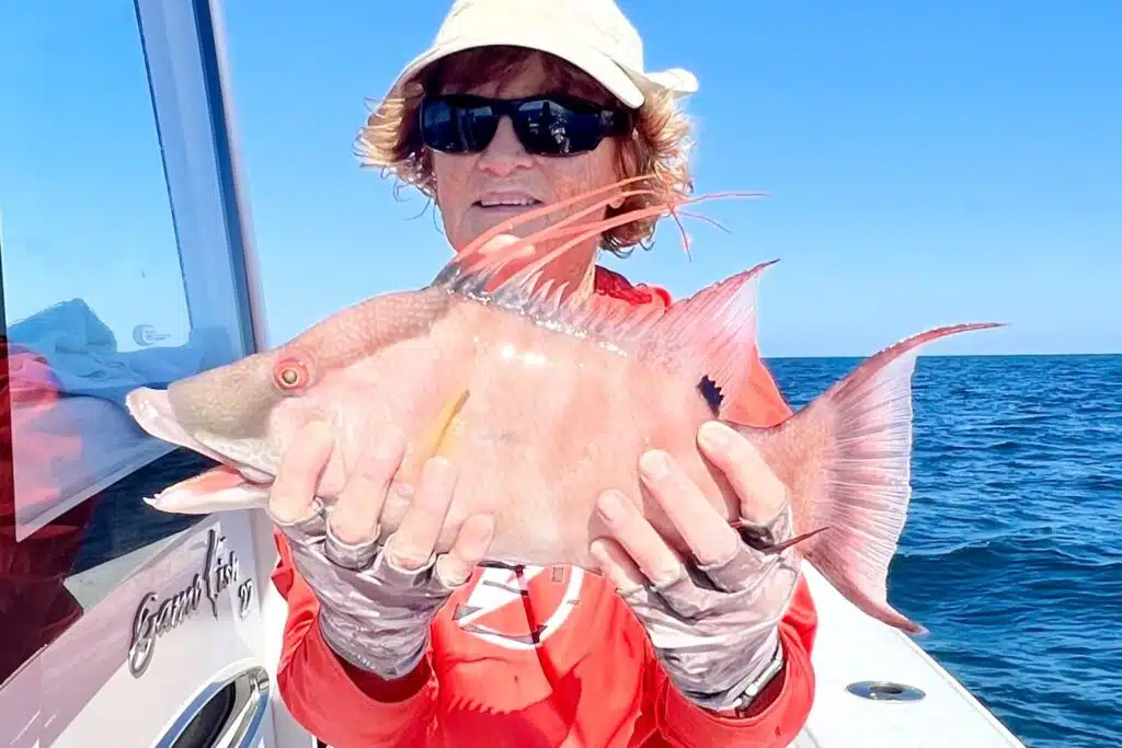 NEAR SHORE - hogfish (3)