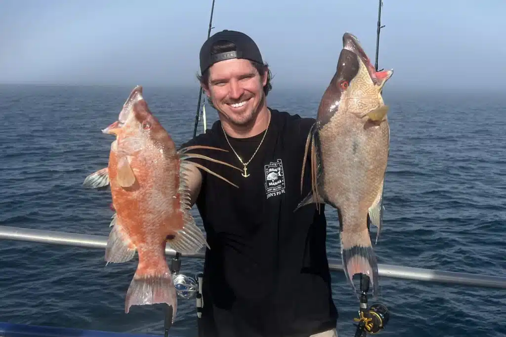 NEAR SHORE - hogfish (6)