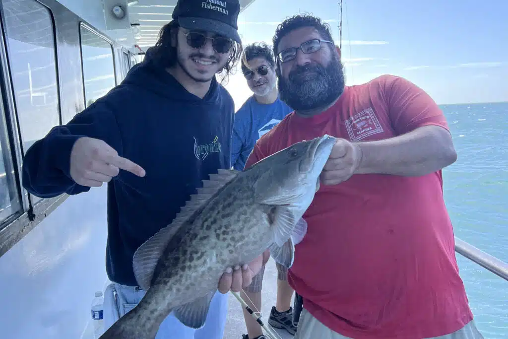 NEARSHORE-gaggrouper