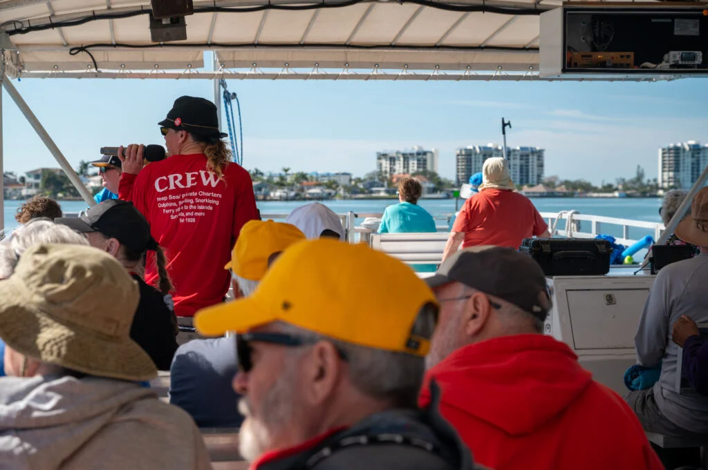 Dolphin watching cruise at hubbards marina in johns pass madeira beach fl