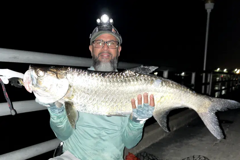 INSHORE- Tarpon