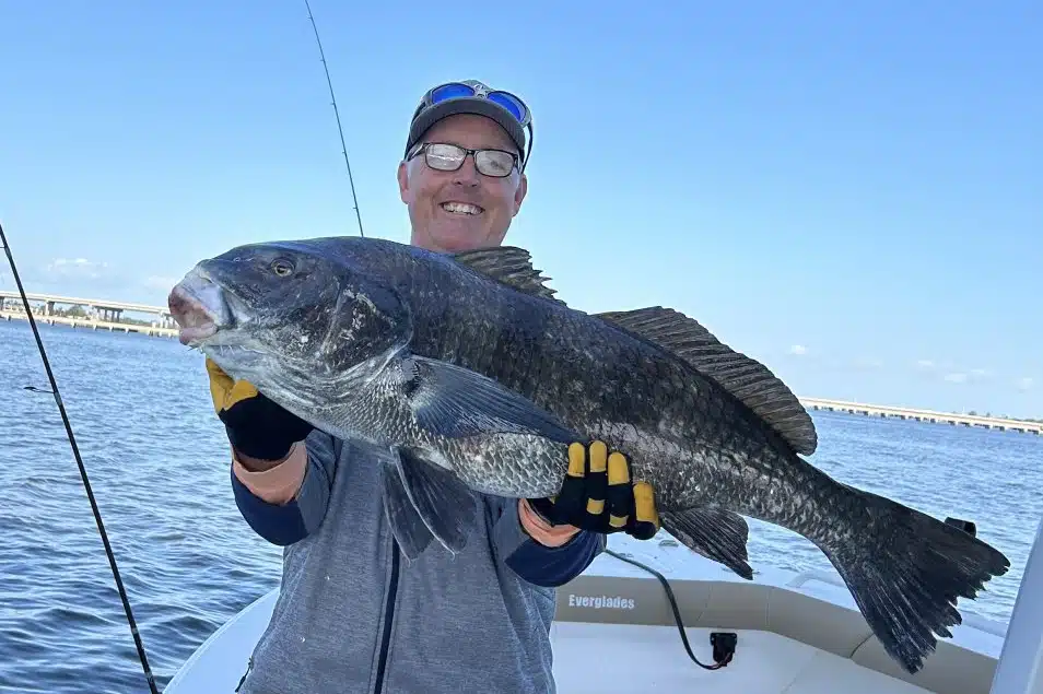 INSHORE-blackdrum