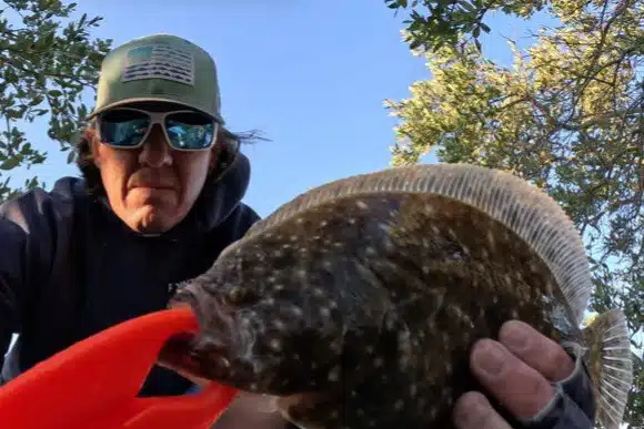 INSHORE-flounder