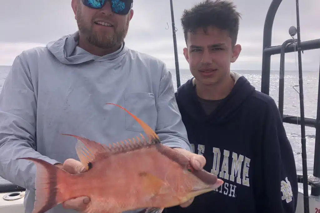 INSHORE-hogfish