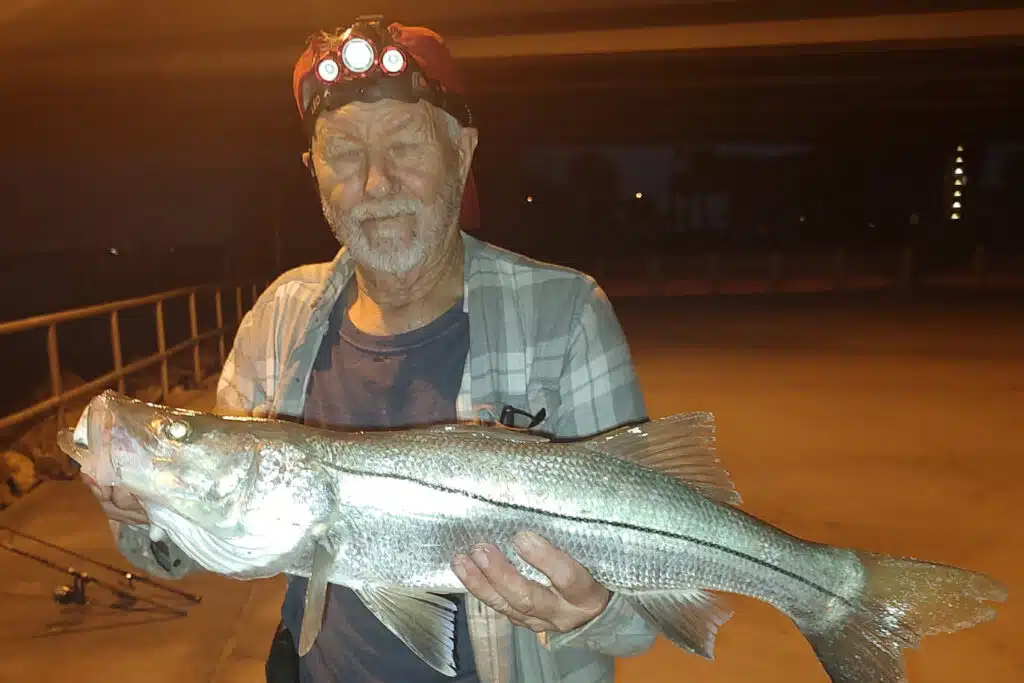 INSHORE-snook (1)
