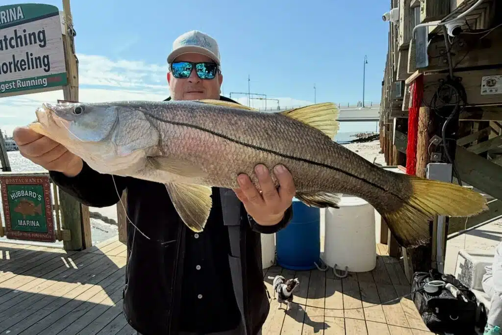 INSHORE - snook