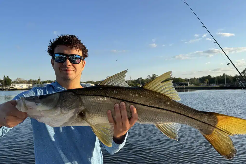 INSHORE-snook2