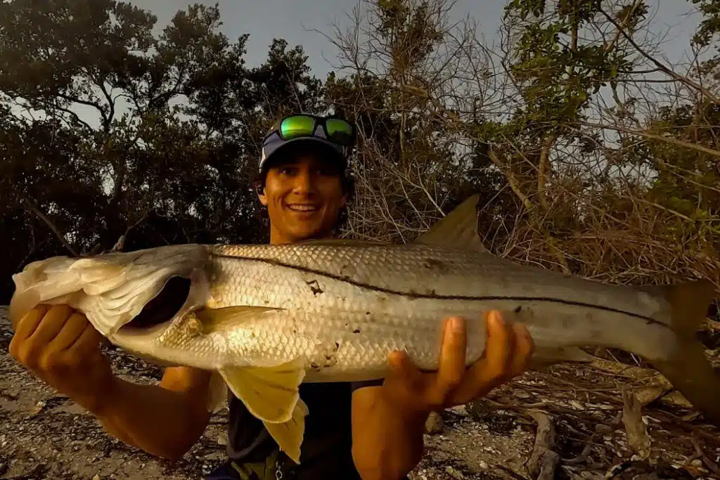 INSHORE-snook2
