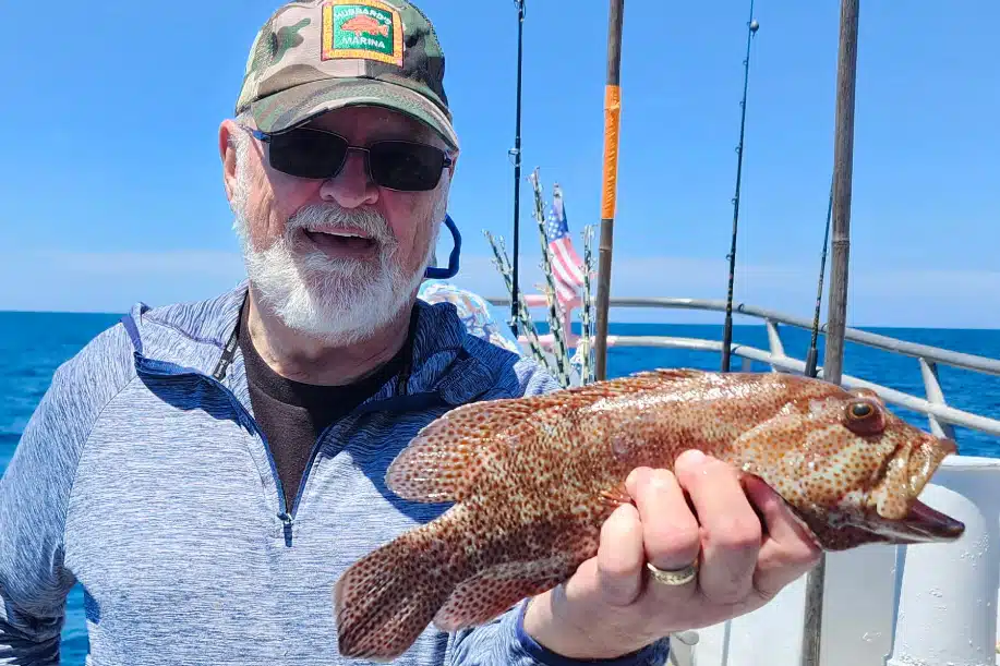 NEARSH0RE-strawberrygrouper