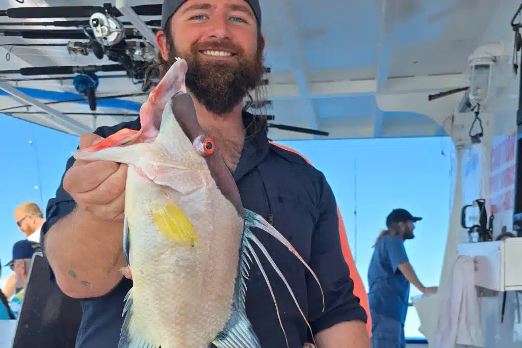 NEARSHORE-hogfish (1)